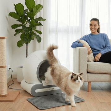 2. Votre chat s'habitue à son rythme