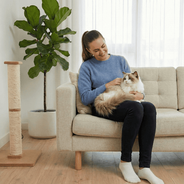 4. Moins de corvées, plus de moments ensemble