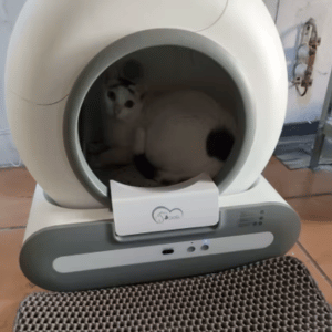 Product zoals beschreven