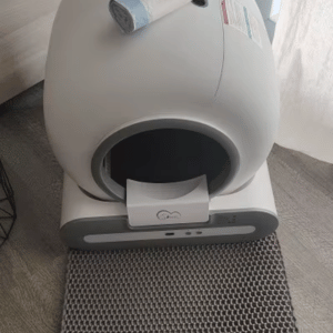 Arrived faster than expected